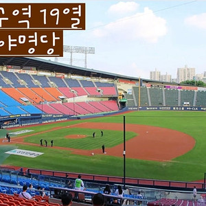 6월28일 엘지,기아 응원석 판매
