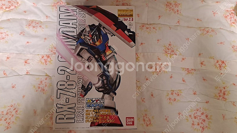 MG 퍼스트 건담(RX-78-2) 리얼타입 외--0