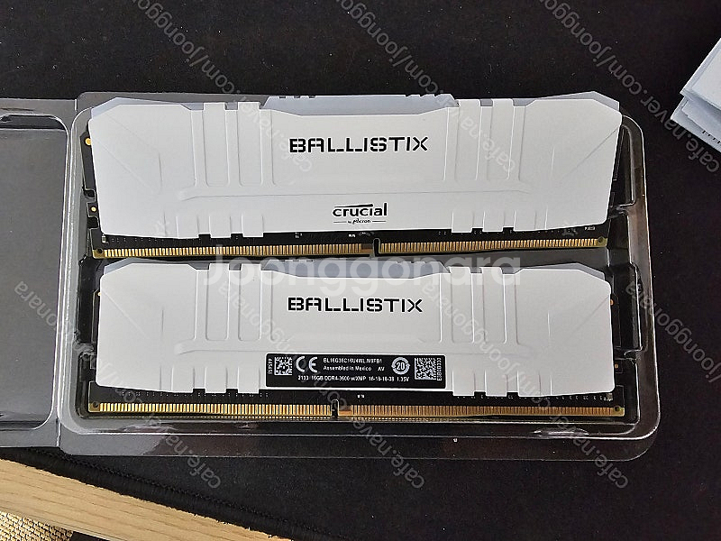 크루셜 발리스틱스 고수율 램 ddr4 16x2 화이트 ...--0