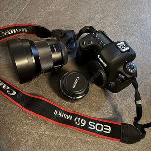 캐논 6D Mark II + 단렌즈 2종 세트
