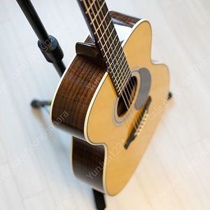 마틴 Martin OMJM 존 메이어 시그니처