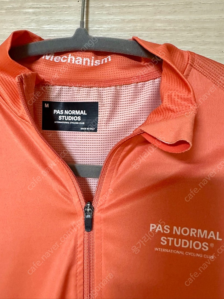 파노말 저지(M,10만)--3