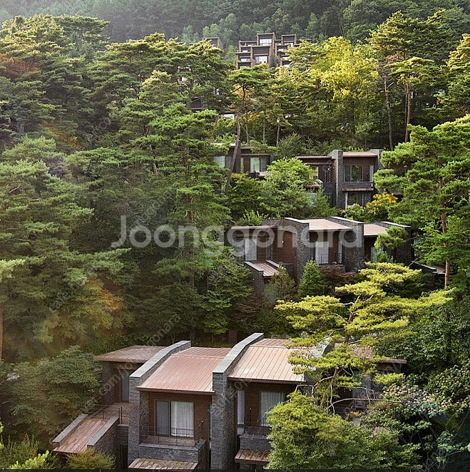 @소노벨천안/변산/청송/단양~소노캄 거제/제주~쏠비치 ...--0