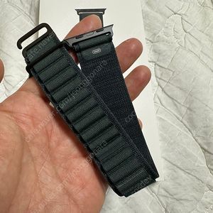 애플워치 정품 스트랩 알파인루프 다크그린 49mm M 사이즈