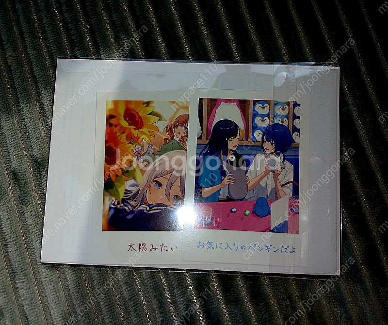 프세카 특전 5주차 추억의사진 4주차 색지 미쿠 카나데--1