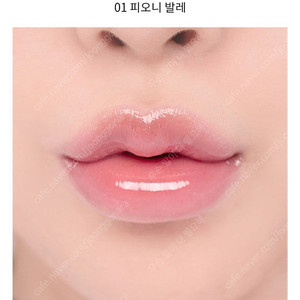 롬앤 글래스팅 컬러 글로스 01 피오니 발레 봄웜 여쿨 갈웜 겨쿨 틴트