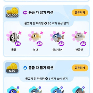 틱톡 판골린,돌돔,복어,참다랑어 마리별로 500원 판매합니다