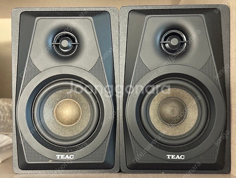 teac ls-m100 소형 모니터링 스피커 판매--0