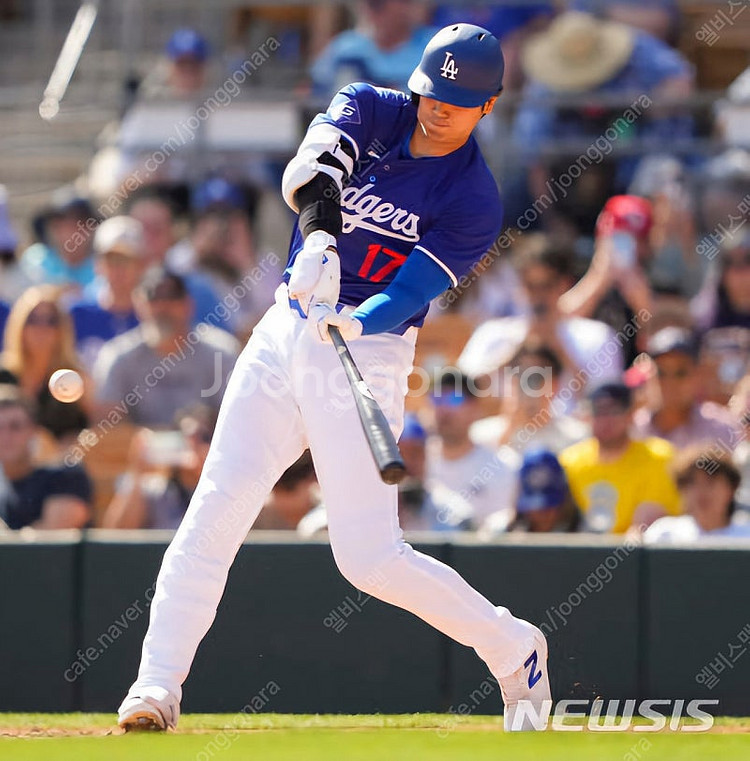 나이키 베이퍼 리미티드 MLB LA 다저스 오타니 얼트...--5