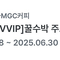 메가커피 꿀수박주스