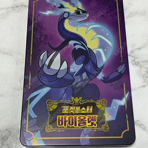 닌텐도 스위치 스칼렛 바이올렛 스틸 케이스