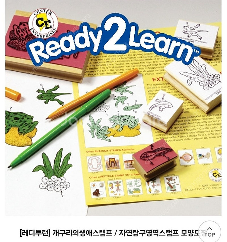 개구리 성장과정 도장 스탬프 정품--2