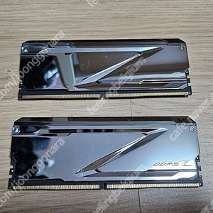 Netac DDR5 32GB (16GBx2) 7200MHz 램