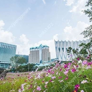 하이원 마운틴카페테리아 조식 단품권 , 그랜드호텔 3층 팬지 조식 단품권 판매 1만원