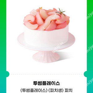 투썸플레이스 망고 생크림, 피치 생크림 케이크 케익 팔아요