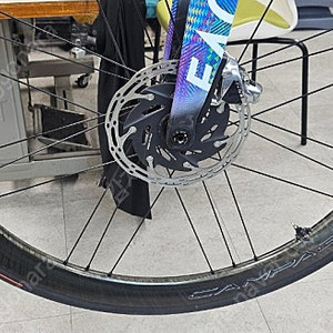 캄파놀로 보라 wto 45 블랙라벨 팜니다