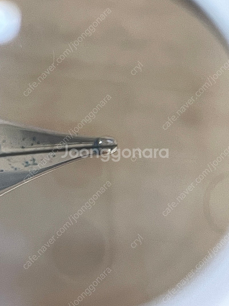 펠리칸 m200 한정판 만년필 레드마블 F--6