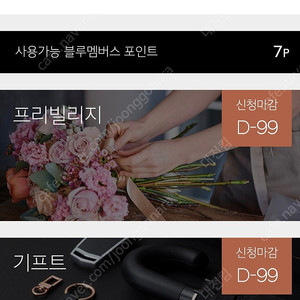제네시스 G90 기프트