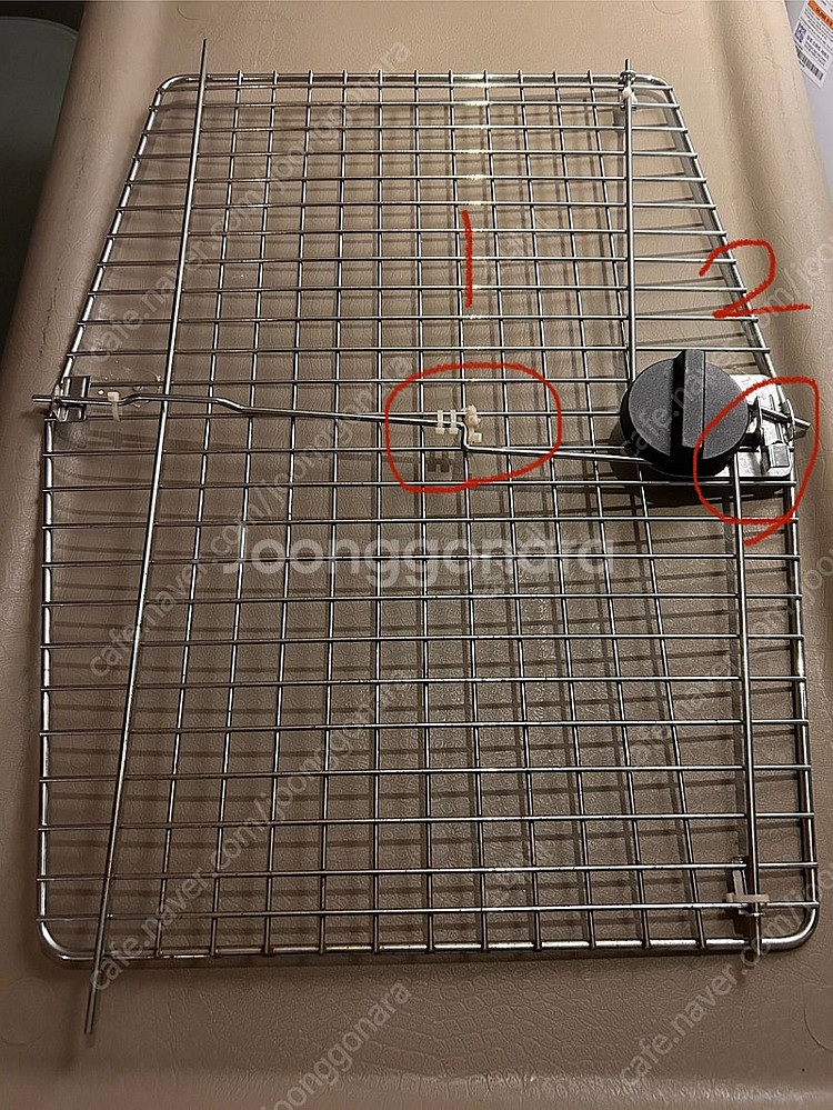 자이언트 바리켄넬--1