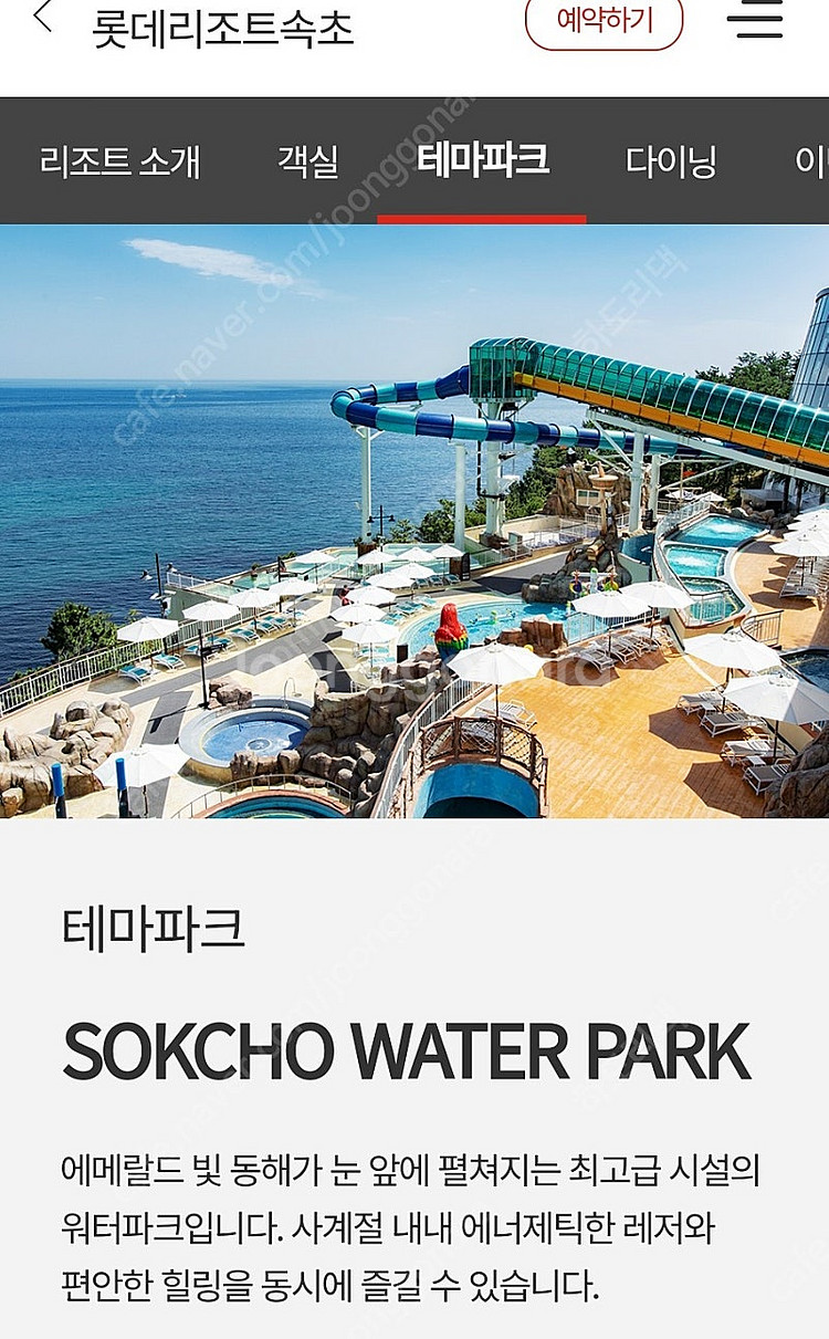 롯데리조트 워터파크 속초.부여 2인권--0