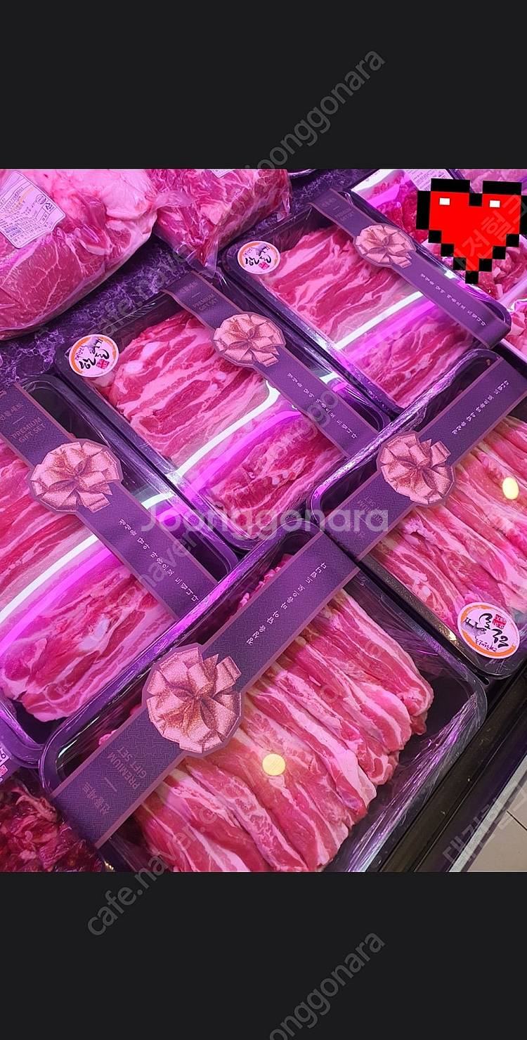 포항 정육점 업소 수직냉동고 구합니다--0