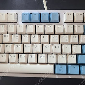 cox ck87 청축 크림블루