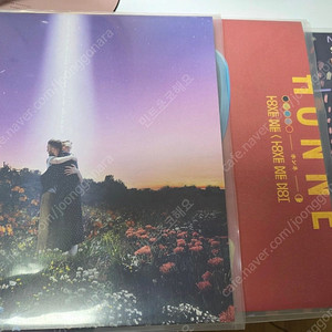honne lp 3개 개봉 일괄판매합니다