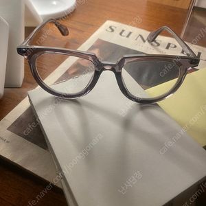 Theo mille +85시리즈 (테오 밀레 안경) 뿔테안경