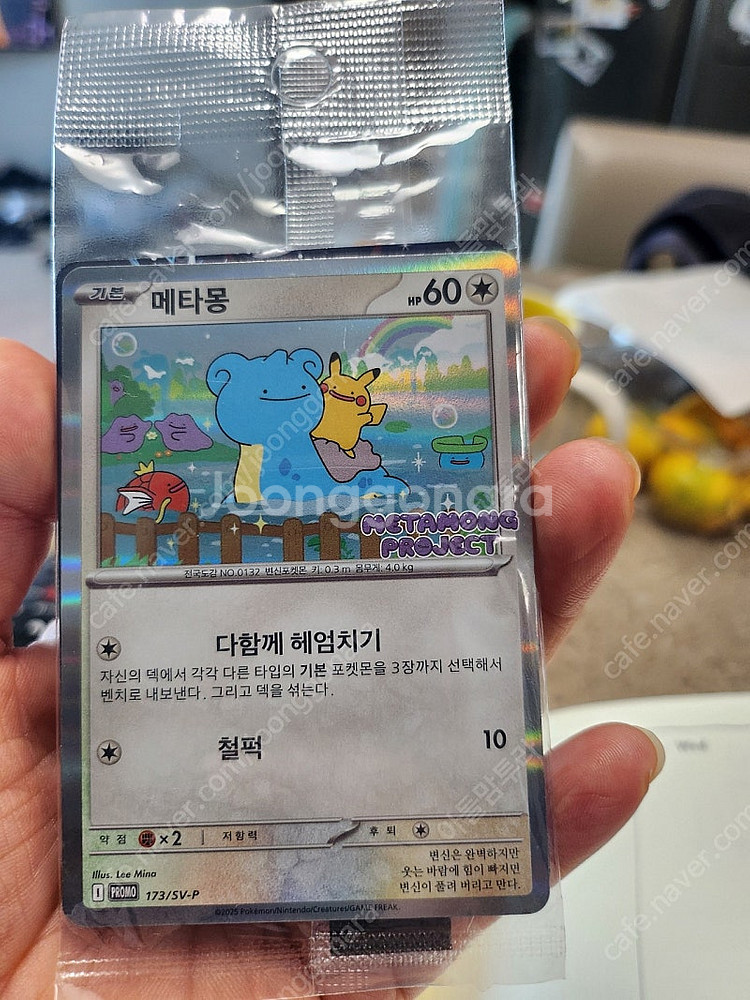 메타몽카드--1
