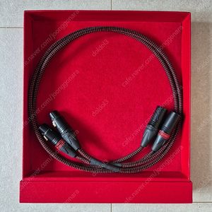 블랙캣 3202 xlr