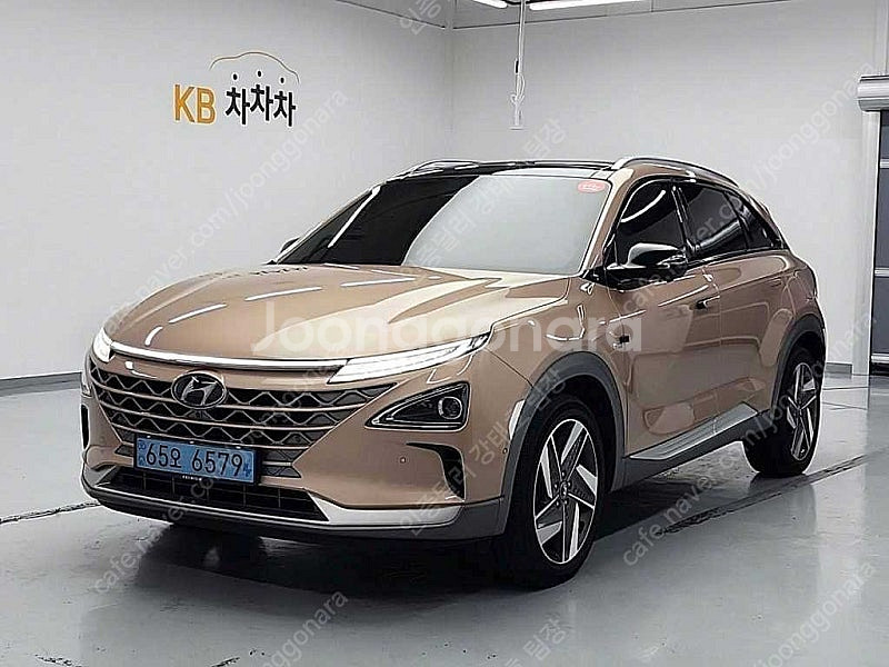 현대 넥쏘 중고 갈색 2020년식 79,867km 프리...--0