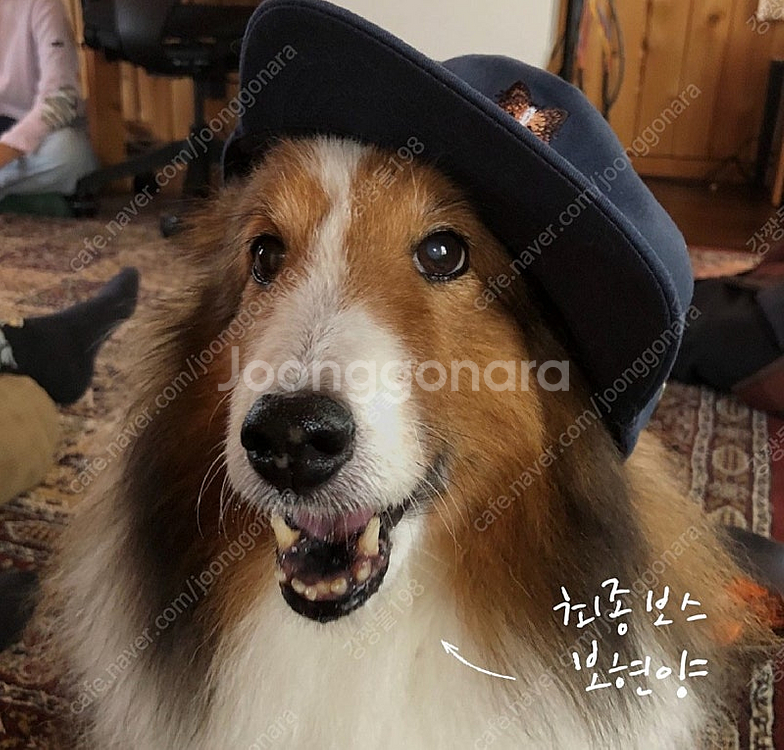 루시드폴 한정판 모자 굿즈--3