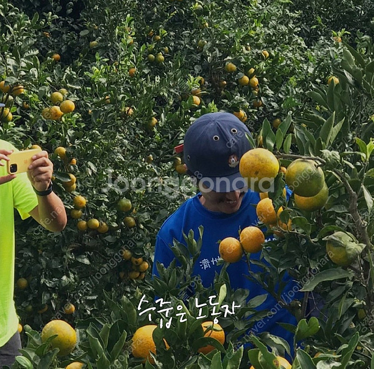 루시드폴 한정판 모자 굿즈--6