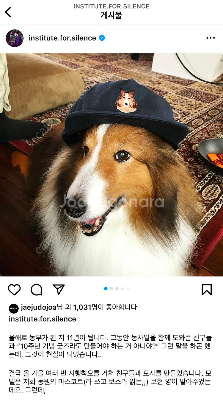 루시드폴 한정판 모자 굿즈--9