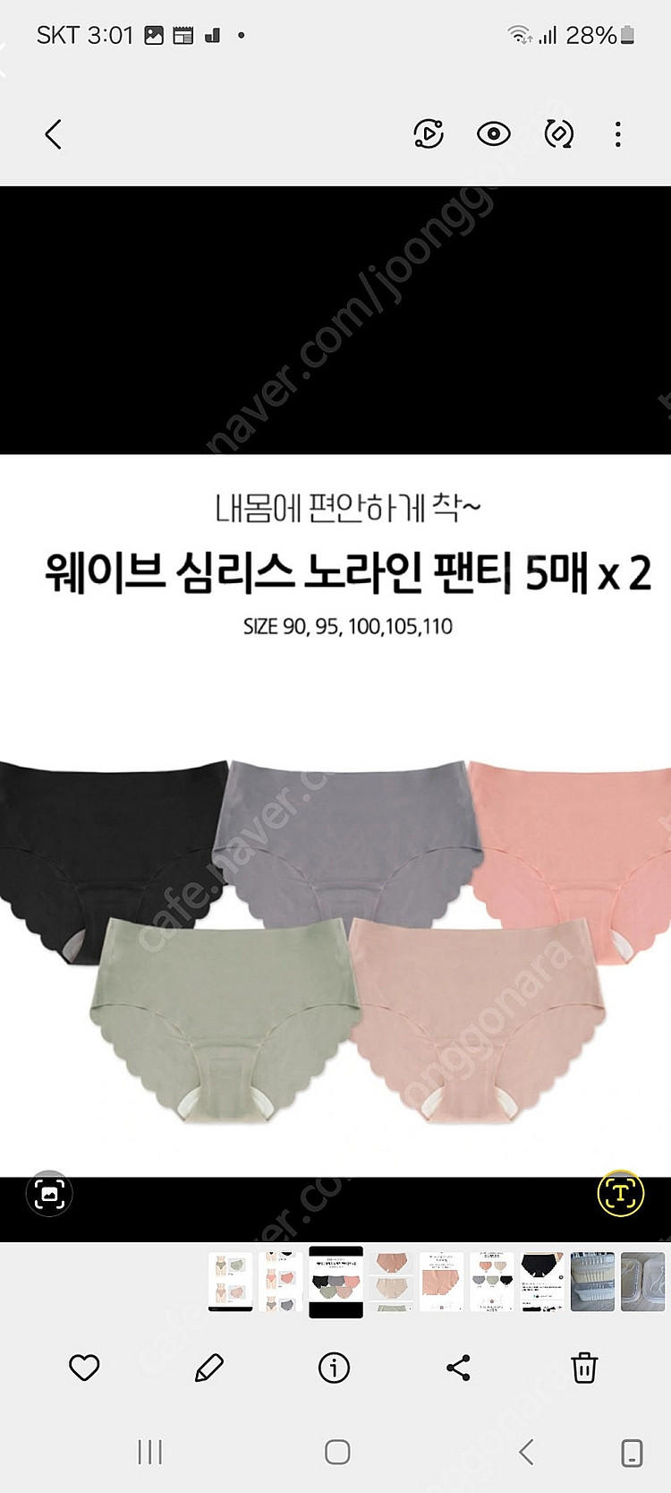 도씨 웨이브 심리스 팬티 등--0