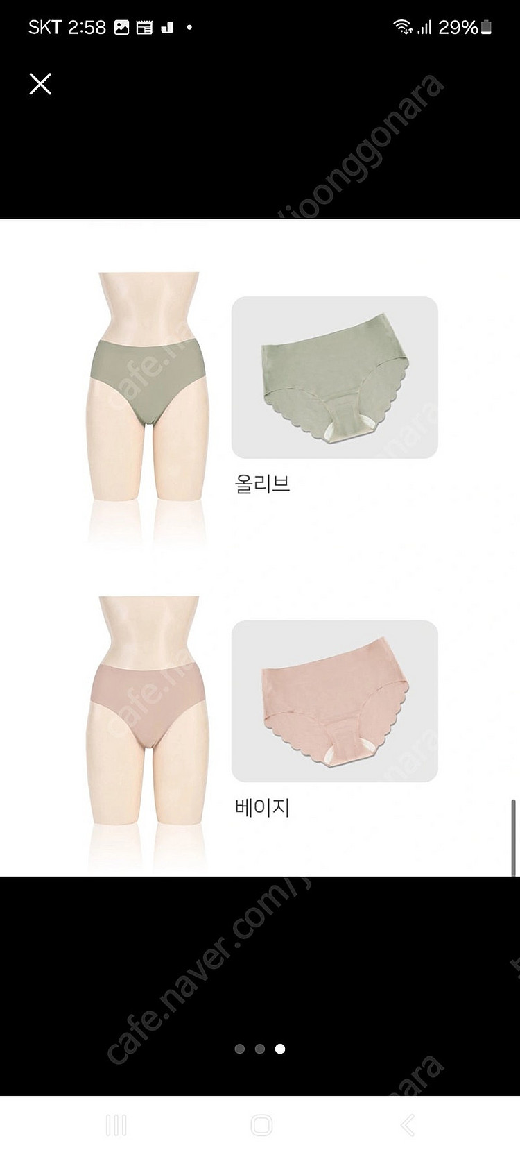도씨 웨이브 심리스 팬티 등--2