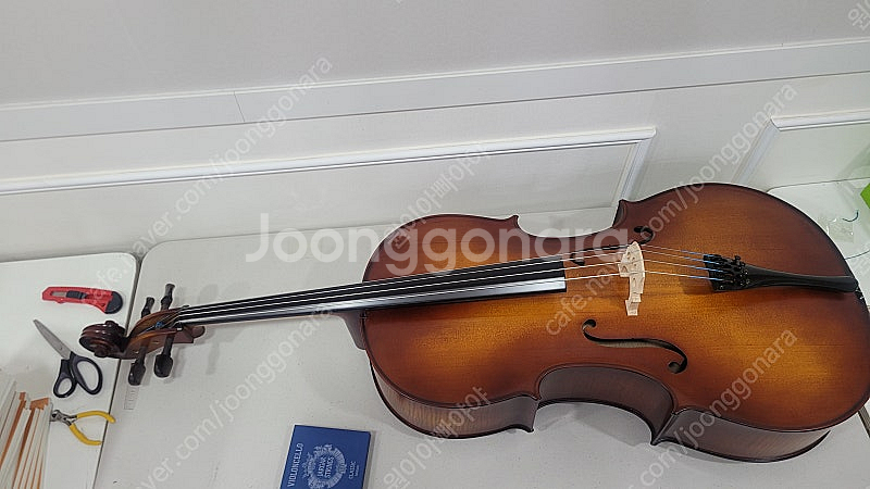 국산 정현첼로 JHC-250 새제품 90만원 => 60...--3