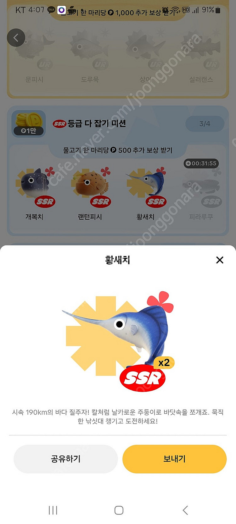 틱톡 틱톡라이트 낚시 황새치 판매 또는 피라루크 교환이...--0