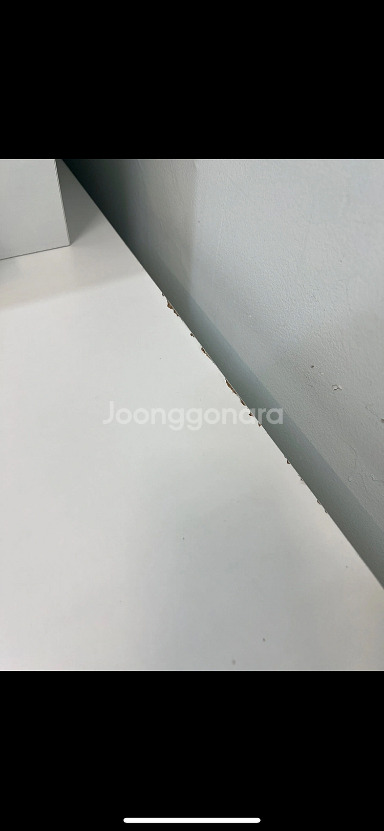 윈텍 패디의자--1