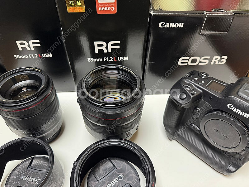 캐논 R3, Rf85.2, Rf50.2 알만두 알오이--0