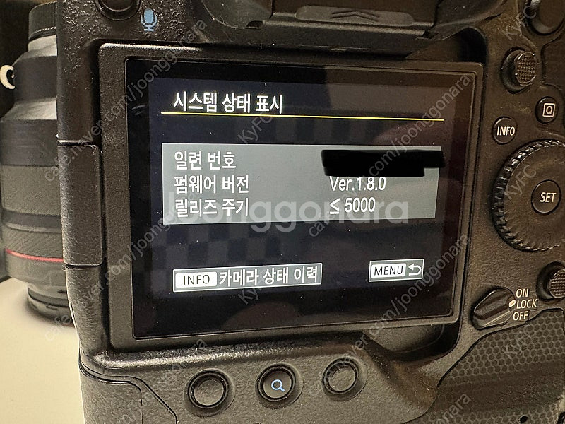 캐논 R3, Rf85.2, Rf50.2 알만두 알오이--1