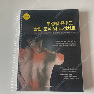부정렬증후군 : 골반 분석 및 교정치료 링제본