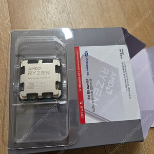 AMD Ryzen 7 7800X3D