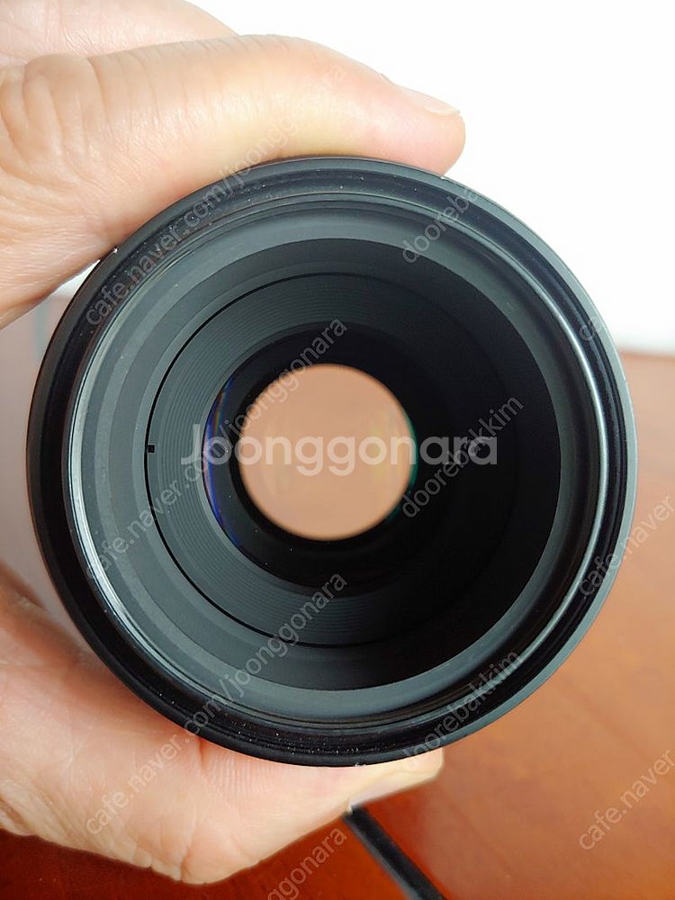 니콘 AF 105mm F2.8 D Micro 렌즈--5