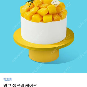 투썸플레이스 망고 생크림 케이크 3.8만원권 (제품 변경 가능)