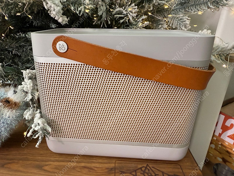 뱅앤올룹슨 Beolit 20--2