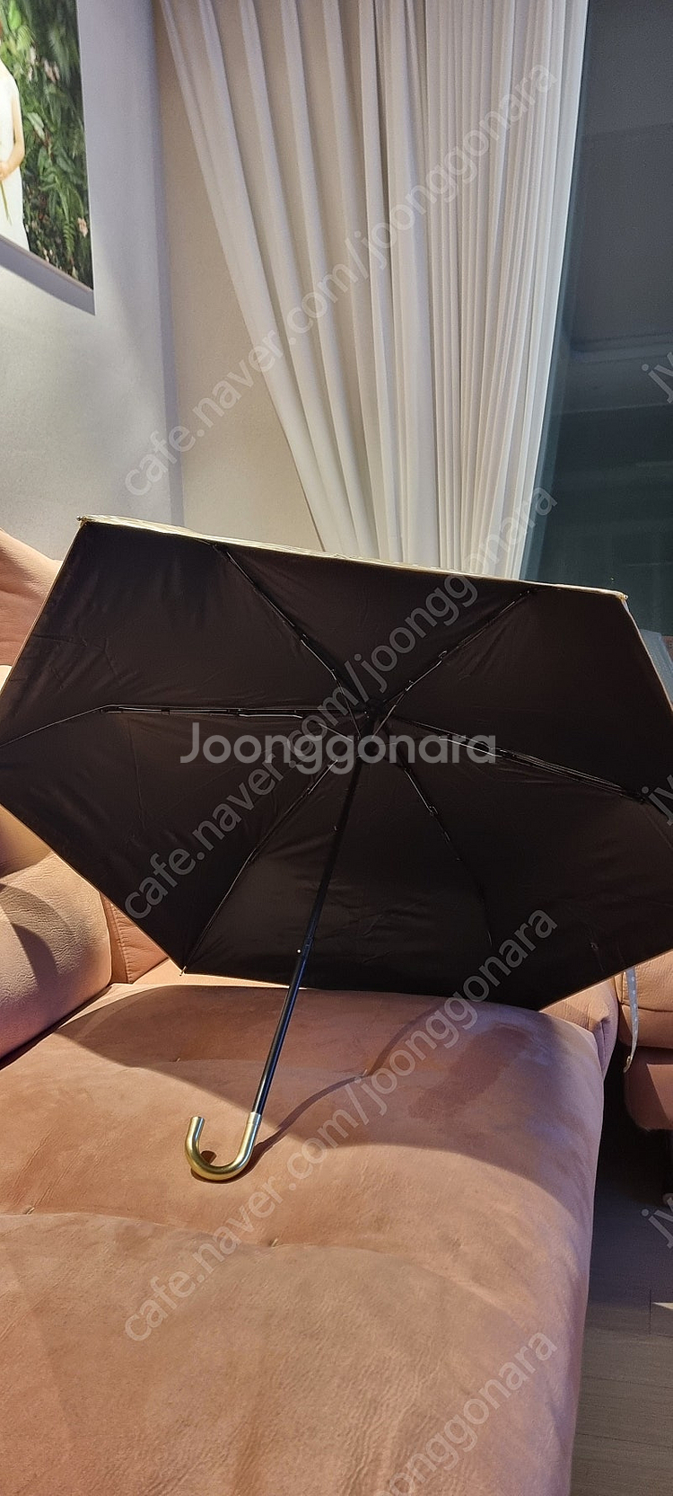 일본구입 uv자외선차단 우양산 겸용 도트 베이지 블랙--2