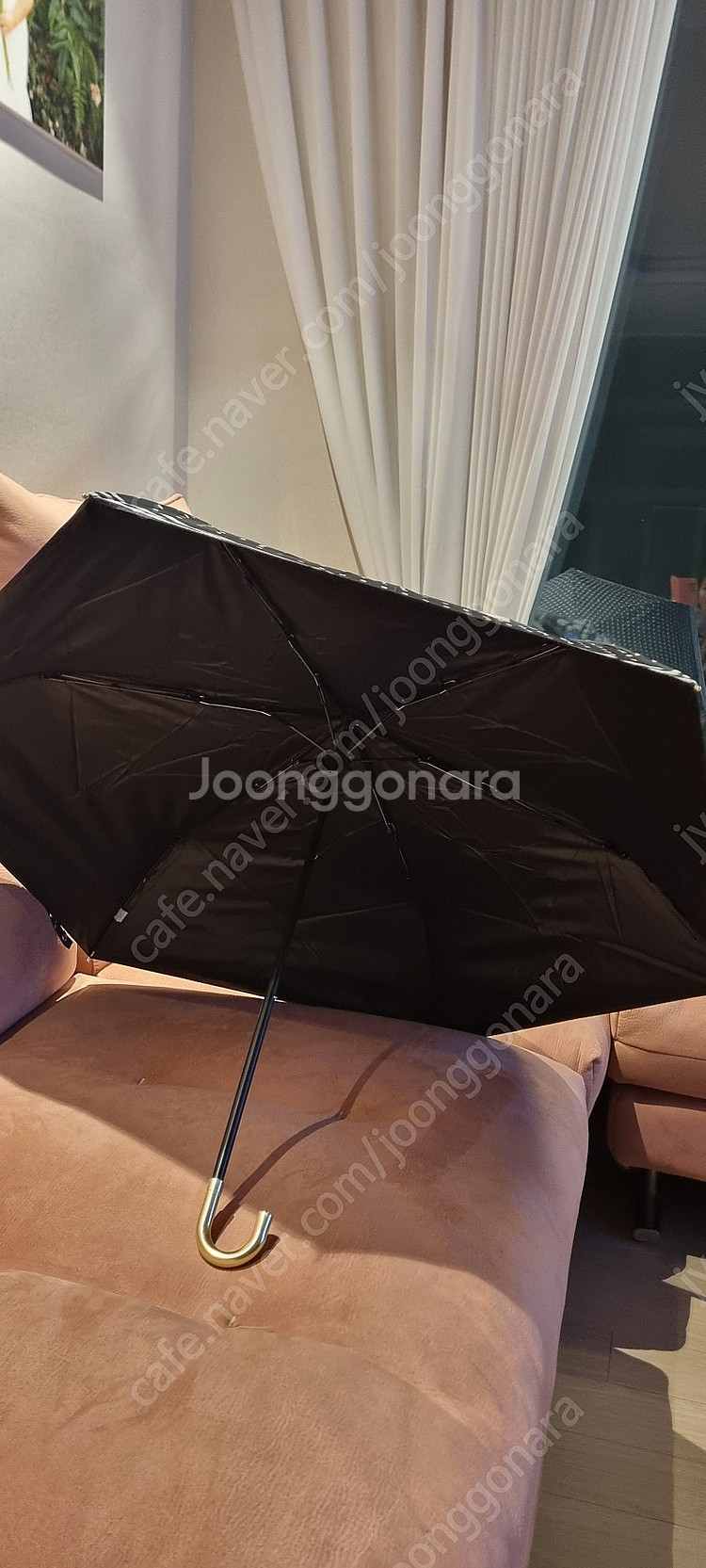 일본구입 uv자외선차단 우양산 겸용 도트 베이지 블랙--5