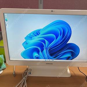 삼성 올인원 PC DM500AAJ-L20
