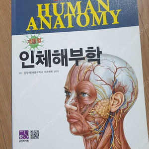 인체해부학
